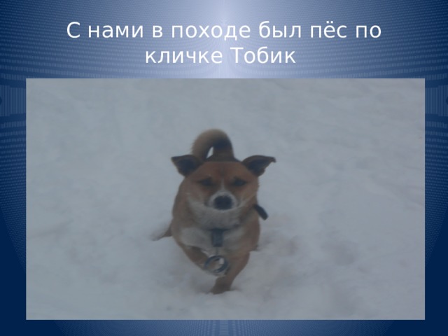 С нами в походе был пёс по кличке Тобик 