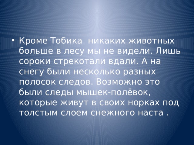 Кроме Тобика никаких животных больше в лесу мы не видели. Лишь сороки стрекотали вдали. А на снегу были несколько разных полосок следов. Возможно это были следы мышек-полёвок, которые живут в своих норках под толстым слоем снежного наста . 