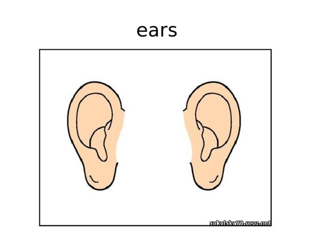 ears 