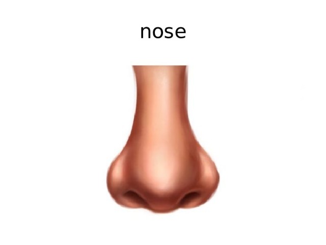 nose 