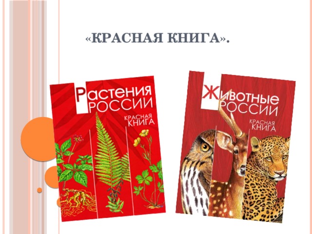 Красная книга обложка для проекта