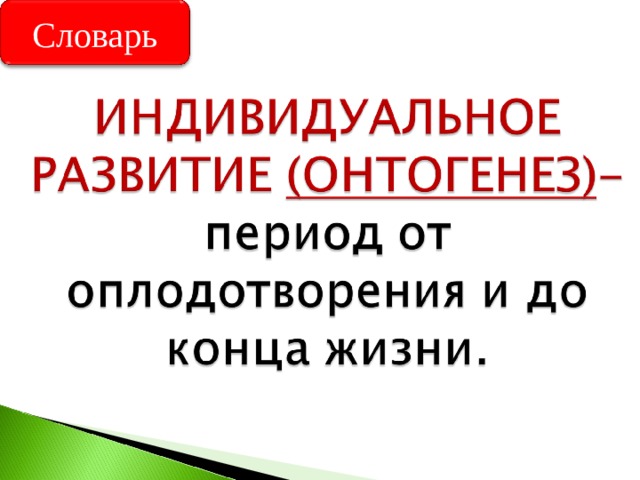 Словарь 