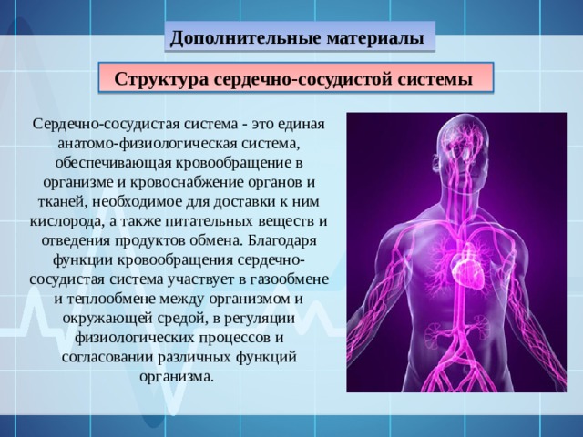 Дополнительные материалы Структура сердечно-сосудистой системы  Сердечно-сосудистая система - это единая анатомо-физиологическая система, обеспечивающая кровообращение в организме и кровоснабжение органов и тканей, необходимое для доставки к ним кислорода, а также питательных веществ и отведения продуктов обмена. Благодаря функции кровообращения сердечно-сосудистая система участвует в газообмене и теплообмене между организмом и окружающей средой, в регуляции физиологических процессов и согласовании различных функций организма. 