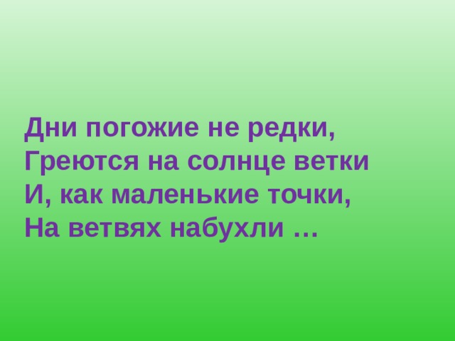 Дни погожие не редки,  Греются на солнце ветки  И, как маленькие точки,  На ветвях набухли … 