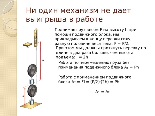 Ни один механизм не дает выигрыша в работе Поднимая груз весом Р на высоту h при помощи подвижного блока, мы прикладываем к концу веревки силу, равную половине веса тела: F = Р/2. При этом мы должны протянуть веревку по длине в два раза больше, чем высота подъема: l = 2h Работа по перемещению груза без применения подвижного блока А ₁ = Рh Работа с применением подвижного блока А ₂ = Fl = (P/2)·(2h) = Ph  A ₁ = A ₂ 
