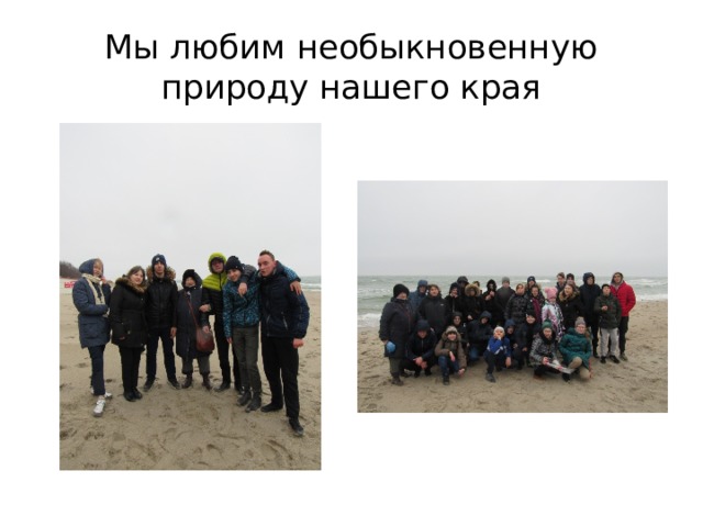 Мы любим необыкновенную природу нашего края 