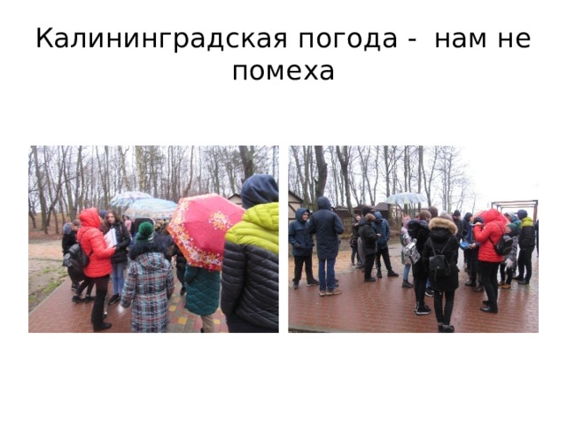 Калининградская погода - нам не помеха 