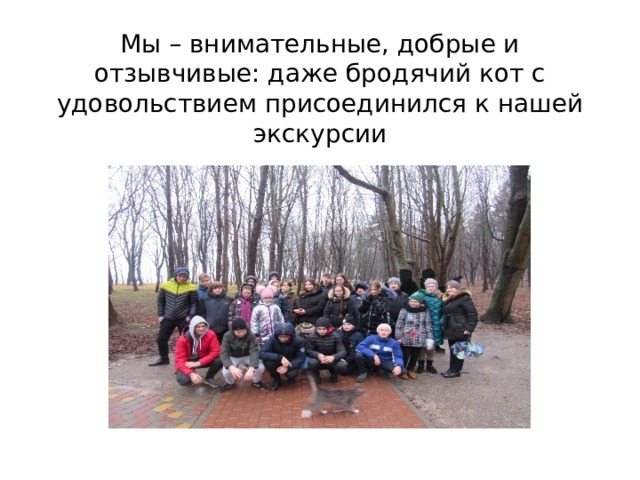 Мы – внимательные, добрые и отзывчивые: даже бродячий кот с удовольствием присоединился к нашей экскурсии 