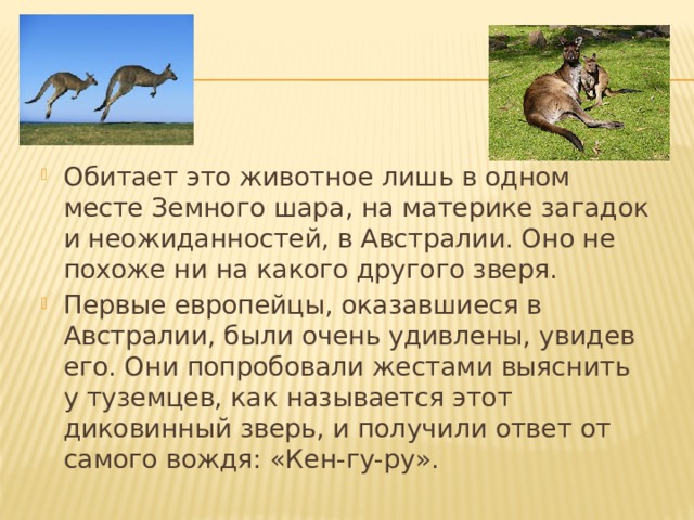 Обитает это животное лишь в одном месте Земного шара, на материке загадок и неожиданностей, в Австралии. Оно не похоже ни на какого другого зверя. Первые европейцы, оказавшиеся в Австралии, были очень удивлены, увидев его. Они попробовали жестами выяснить у туземцев, как называется этот диковинный зверь, и получили ответ от самого вождя: «Кен-гу-ру». 