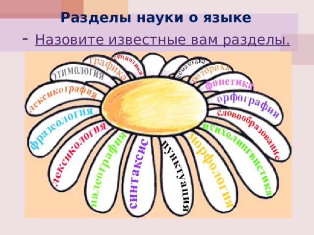 Презентация знатоки русского языка 4 класс игровые задания