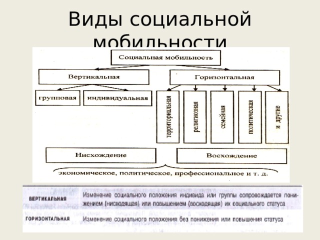 Социальная структура характеризуется