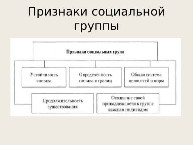 3 признака социальной группы