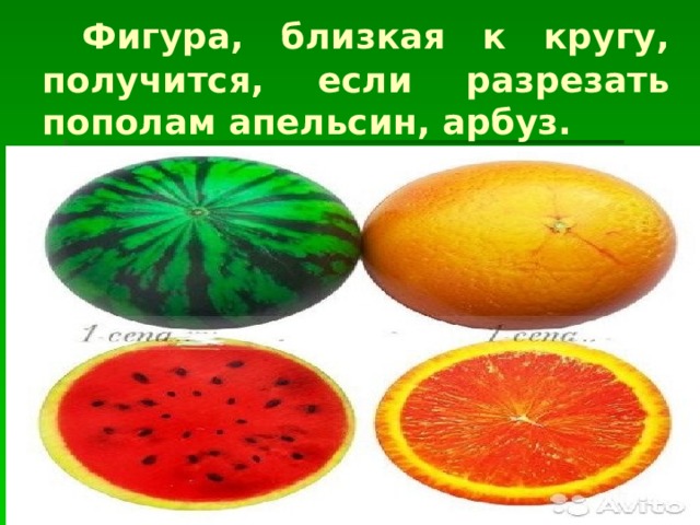  Фигура, близкая к кругу, получится, если разрезать пополам апельсин, арбуз. 