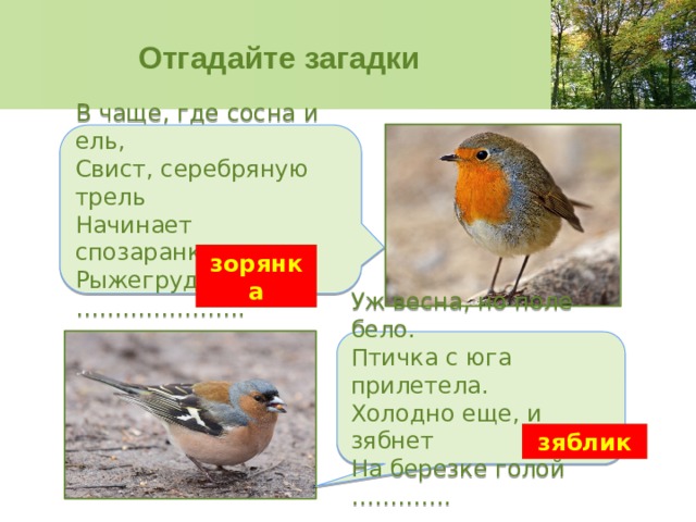 В п астафьев зорькина песня 4 класс презентация