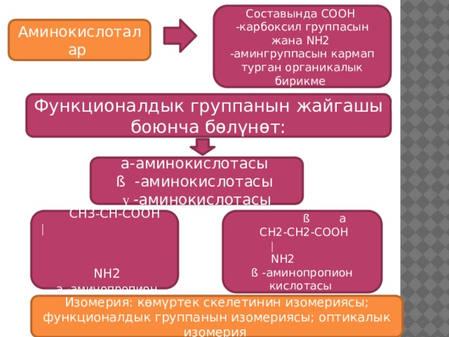 Составында COOH -карбоксил группасын жана NH2 -амингруппасын кармап турган органикалык бирикме  Аминокислоталар Функционалдык группанын жайгашы боюнча бөлүнөт: a- аминокислотасы ß -аминокислотасы ү -аминокислотасы  ß  a   ß a  CH3-CH-COOH  CH2-CH2-COOH  |  | NH2  NH2  a -аминопропион кислотасы ß -аминопропион кислотасы Изомерия: көмүртек скелетинин изомериясы; функционалдык группанын изомериясы; оптикалык изомерия 