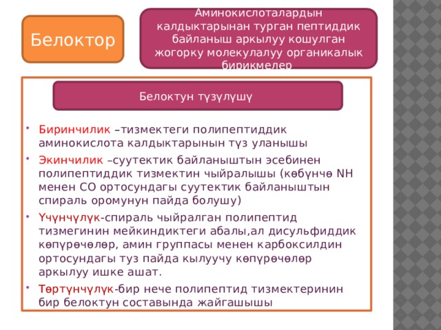 Аминокислоталардын калдыктарынан турган пептиддик байланыш аркылуу кошулган жогорку молекулалуу органикалык бирикмелер  Белоктор Биринчилик – тизмектеги полипептиддик аминокислота калдыктарынын түз уланышы Экинчилик  –суутектик байланыштын эсебинен полипептиддик тизмектин чыйралышы (көбүнчө NH менен CO ортосундагы суутектик байланыштын спираль оромунун пайда болушу) Үчүнчүлүк -спираль чыйралган полипептид тизмегинин мейкиндиктеги абалы,ал дисульфиддик көпүрөчөлөр, амин группасы менен карбоксилдин ортосундагы туз пайда кылуучу көпүрөчөлөр аркылуу ишке ашат. Төртүнчүлүк -бир нече полипептид тизмектеринин бир белоктун составында жайгашышы Белоктун түзүлүшү 