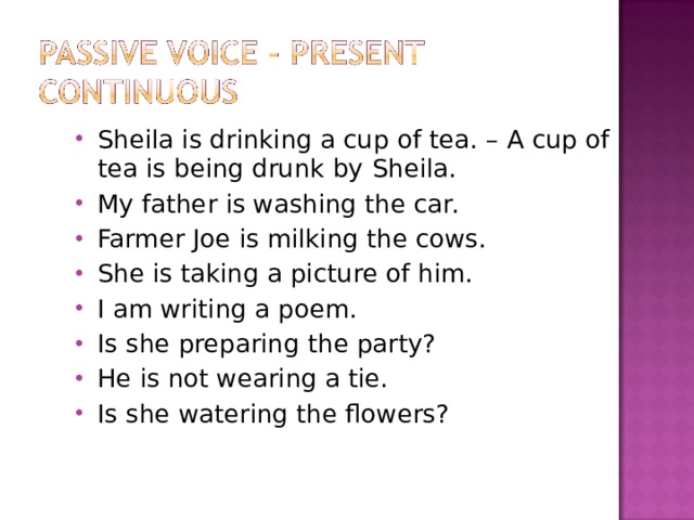 Sheila is drinking a cup of tea. – A cup of tea is being drunk by Sheila. My father is washing the car. Farmer Joe is milking the cows. She is taking a picture of him. I am writing a poem. Is she preparing the party? He is not wearing a tie. Is she watering the flowers? 