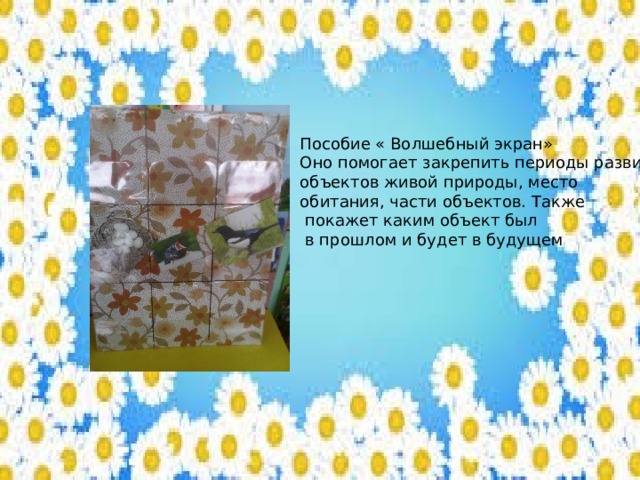 Пособие « Волшебный экран» Оно помогает закрепить периоды развития объектов живой природы, место обитания, части объектов. Также  покажет каким объект был  в прошлом и будет в будущем 