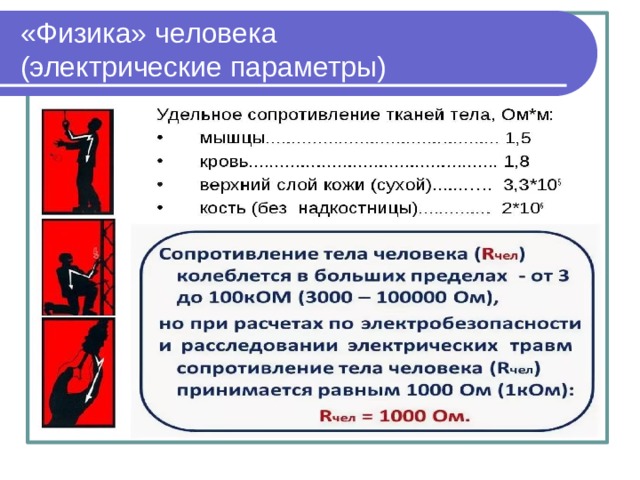 Физика человека проект