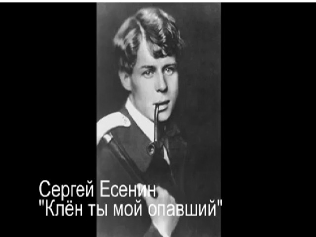 Поем есенина. Есенин пой. Есенин пойте.. Поёт зима аукает Есенин. 2 Класс литературное чтение поет Есенина.