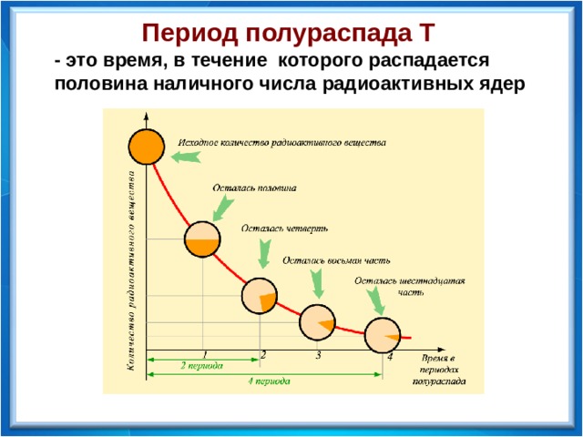 Период полураспада Т - это время, в течение которого распадается половина наличного числа радиоактивных ядер  