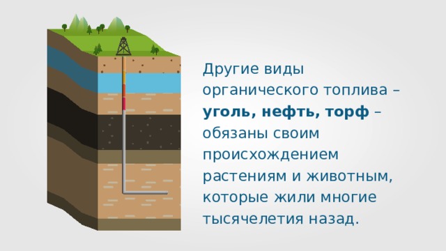 Уголь нефть торф по происхождению