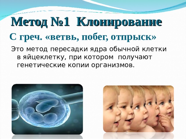 Метод №1  Клонирование С греч. «ветвь, побег, отпрыск» Это метод пересадки ядра обычной клетки в яйцеклетку, при котором получают генетические копии организмов. 
