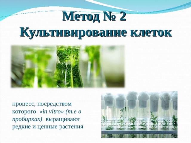 Метод № 2 Культивирование клеток процесс, посредством которого  « in vitro » (т.е в пробирках)   выращивают редкие и ценные растения 