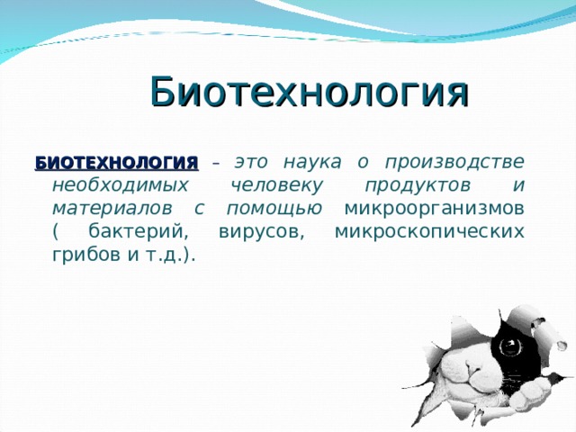 Биотехнология  БИОТЕХНОЛОГИЯ – это наука о производстве необходимых человеку продуктов и материалов с помощью микроорганизмов ( бактерий, вирусов, микроскопических грибов и т.д.). 