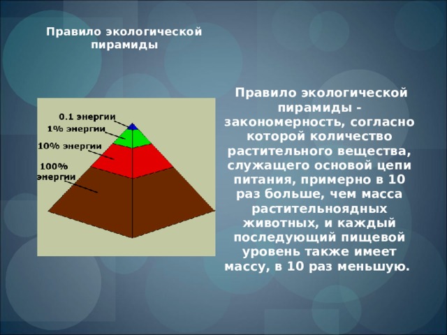 Правило экологической пирамиды        Правило экологической пирамиды - закономерность, согласно которой количество растительного вещества, служащего основой цепи питания, примерно в 10 раз больше, чем масса растительноядных животных, и каждый последующий пищевой уровень также имеет массу, в 10 раз меньшую. 