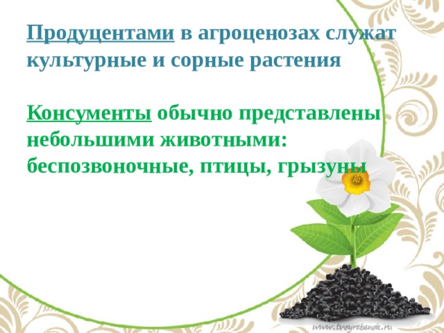 Продуцентами в агроценозах служат культурные и сорные растения   Консументы обычно представлены небольшими животными: беспозвоночные, птицы, грызуны   