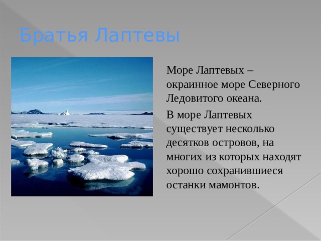 Братья Лаптевы Море Лаптевых – окраинное море Северного Ледовитого океана. В море Лаптевых существует несколько десятков островов, на многих из которых находят хорошо сохранившиеся останки мамонтов. 