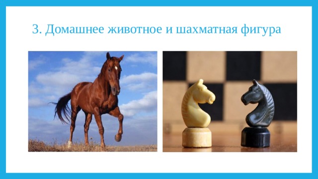 3. Домашнее животное и шахматная фигура   