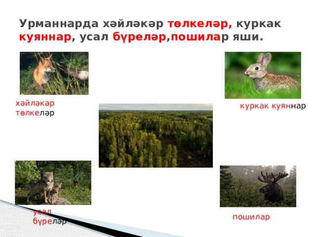 Татарстан аша Идел ,Чулман, Нократ, Агыйдел кебек зур елгалар ага . Идел -Волга Чулман -Кама Нократ -Вятка Агыйдел - река Белая 
