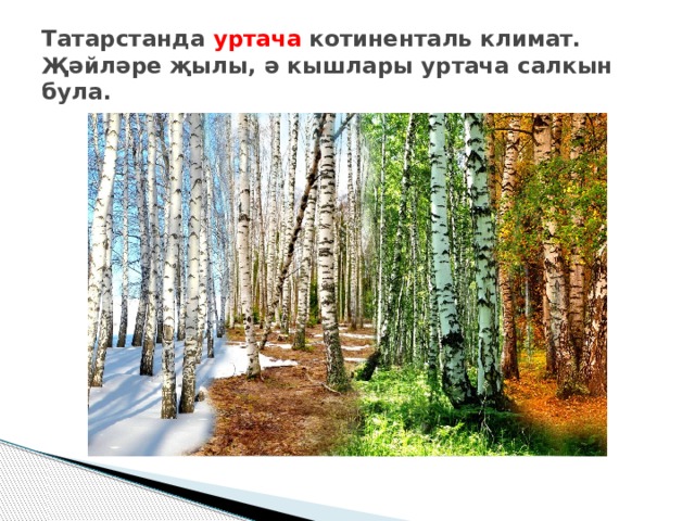 Урманнарда хәйләкәр төлкеләр, куркак куяннар , усал бүреләр , пошила р яши. хәйләкәр төлке ләр куркак куян нар усал бүре ләр пошилар 
