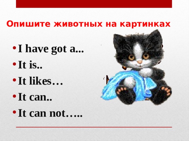  Опишите животных на картинках I have got a... It is.. It likes… It can.. It can not….. 