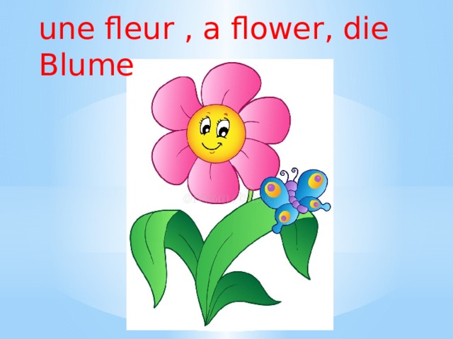 Der blume