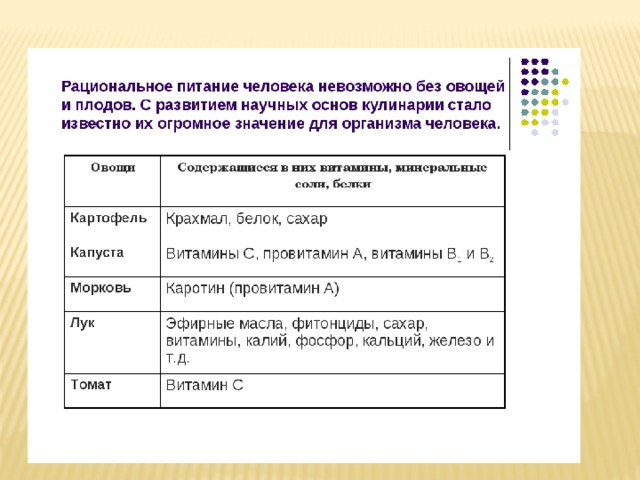 Овощи в питании человека 5 класс технология презентация