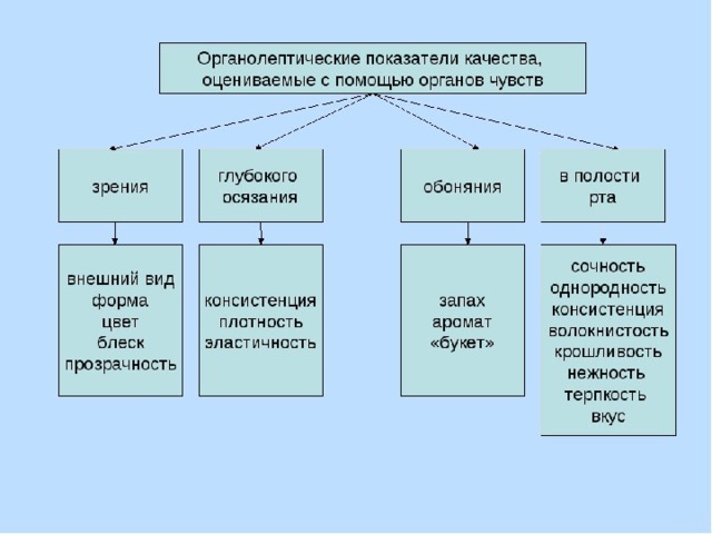 Органолептические способы определения степени готовности и качества супов