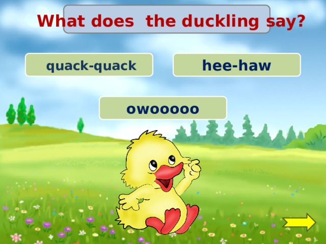 Ducks says