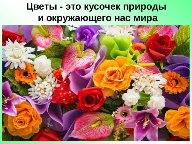  Цветы - это кусочек природы  и окружающего нас мира   