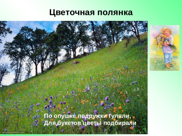 Цветочная полянка   По опушке подружки гуляли, Для букетов цветы подбирали   