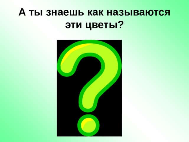 А ты знаешь как называются эти цветы? 