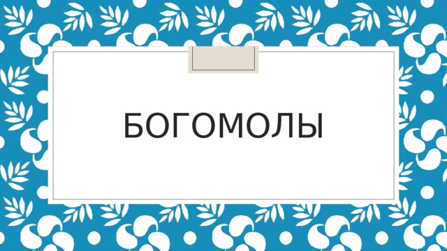 богомолы 