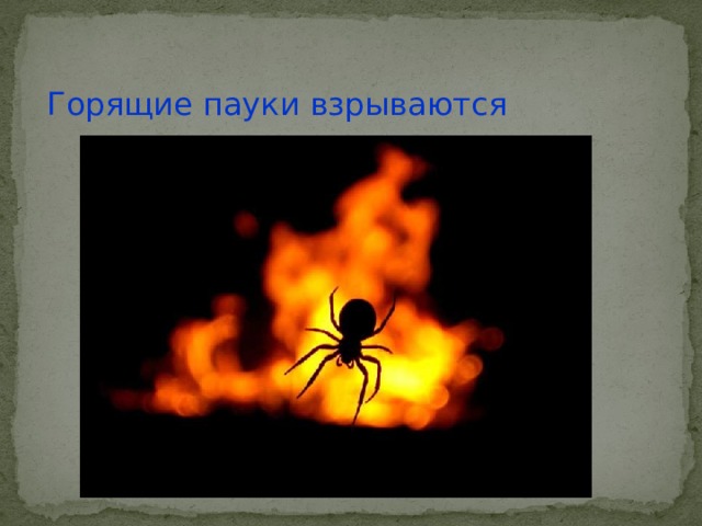 Горящие пауки взрываются 