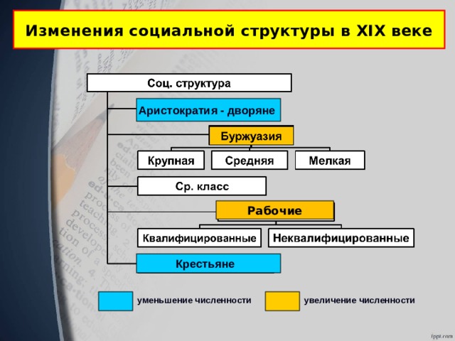 Аристократия состав