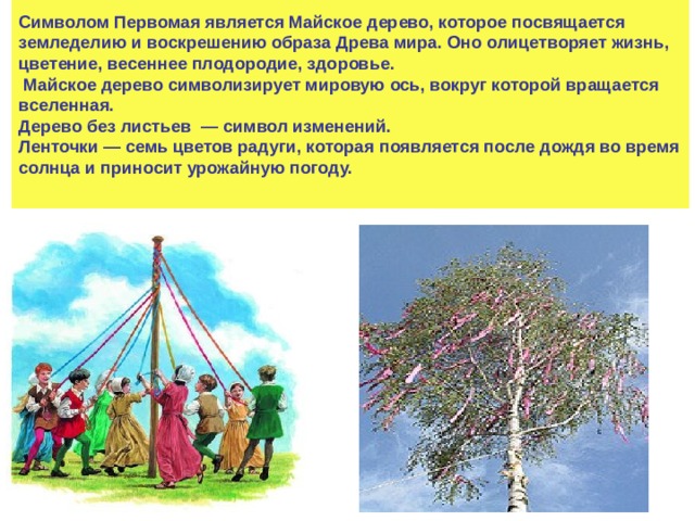 1 мая дерево. Символ Первомая Майское дерево. Майское дерево символ 1 мая. Майское дерево в России.