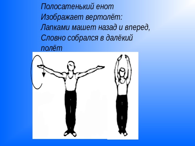 Полосатенький  енот  Изображает вертолёт:  Лапками машет назад и вперед,  Словно собрался в далёкий полёт  