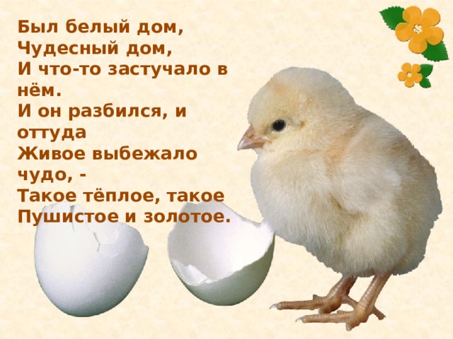 Был белый дом, Чудесный дом, И что-то застучало в нём. И он разбился, и оттуда Живое выбежало чудо, - Такое тёплое, такое Пушистое и золотое. 