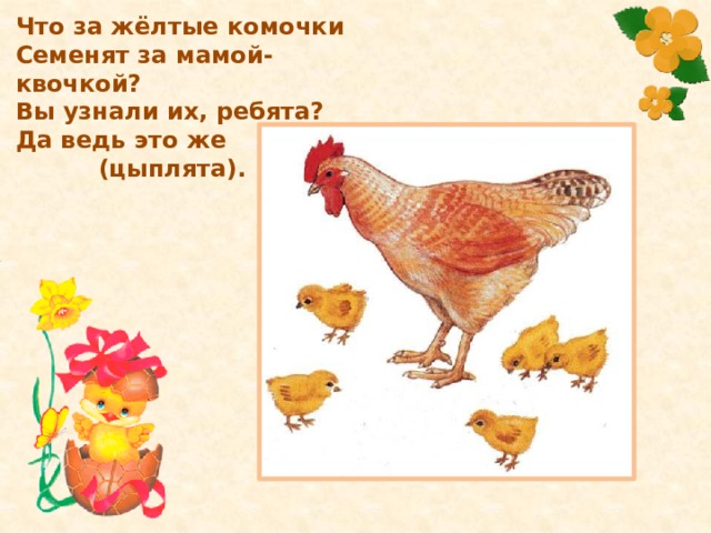 Что за жёлтые комочки  Семенят за мамой-квочкой?  Вы узнали их, ребята?  Да ведь это же     (цыплята). 